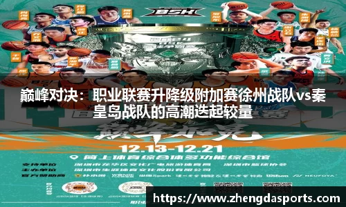 巅峰对决：职业联赛升降级附加赛徐州战队vs秦皇岛战队的高潮迭起较量